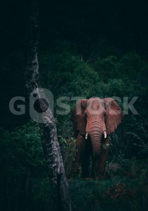 IMG 4505