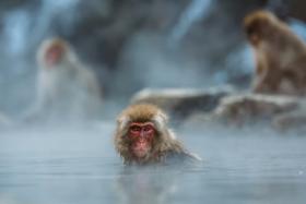 IMG 4524