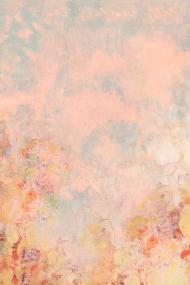 Pink floral wall textured background 53876 167333 jpg